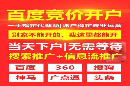 Sem优化公司成功案例：转化率提升之道